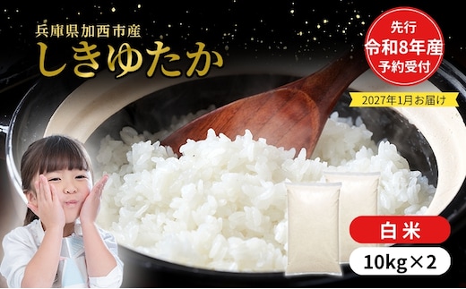 【令和8年産 先行受付】しきゆたか 白米 20kg (10kg×2)《2027年1月発送》