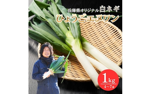 数量限定 テレビで話題！ 極上 ひょうごエヌワン 白ネギ 1kg 4～7本 エヌワン ねぎ 長ネギ 兵庫県 加西市