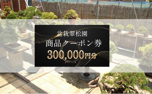 盆栽 翠松園 商品クーポン券 300,000円分 植物 観葉植物 園芸 商品券 兵庫県