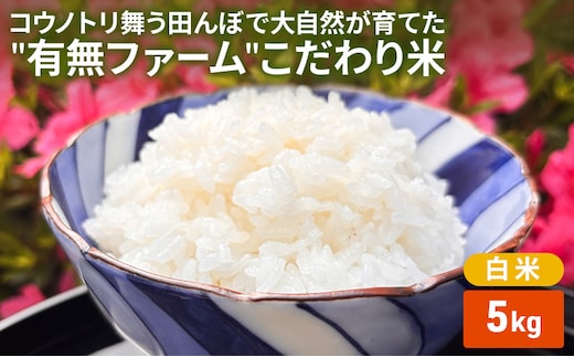 米 コウノトリ舞う田んぼで大自然が育てた