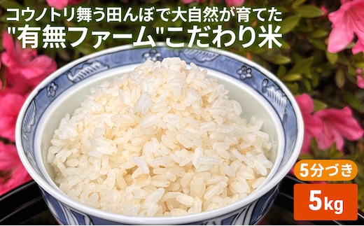米 コウノトリ舞う田んぼで大自然が育てた