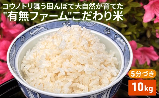 米 コウノトリ舞う田んぼで大自然が育てた