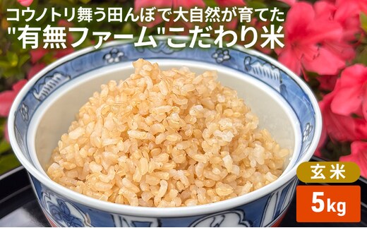 米 コウノトリ舞う田んぼで大自然が育てた