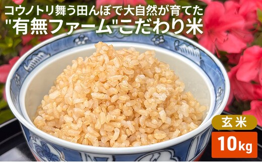 米 コウノトリ舞う田んぼで大自然が育てた