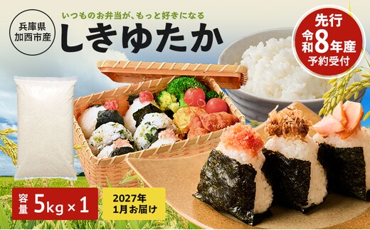 米 令和8年産 先行受付 しきゆたか 白米 5kg《2027年1月発送》 お米 精米 単一原料米 お弁当 おにぎり 冷めても美味しい 農業支援 就労者支援 日用品