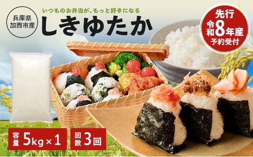 定期便 米 令和8年産 先行受付 しきゆたか 白米 5kg 3か月連続お届け お米 精米 単一原料米 お弁当 おにぎり 冷めても美味しい 農業支援 就労者支援 日用品
