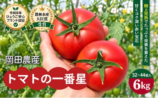 トマト 6kg トマトの一番星 野菜 とまと 完熟 高糖度 甘い 受賞 冷蔵配送