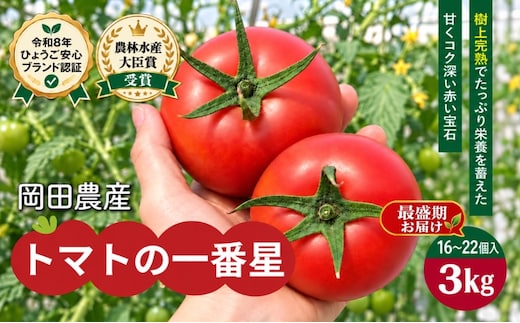【最盛期お届け】トマト 3kg トマトの一番星 野菜 とまと 完熟 高糖度 甘い 受賞 冷蔵配送