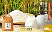 米 【令和8年産 予約受付】 キヌヒカリ 5kg 精米 奥播州源流 芥田川産 芥田川 農家直送 5キロ 国産米 きぬひかり 贈り物 喜ばれる お米ギフト おいしいお米 お祝い 内祝い 贈答 美味しい おいしい 白米