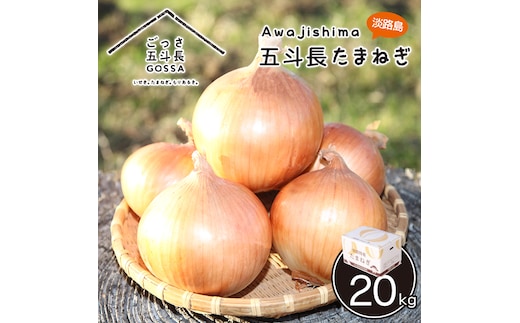 五斗長玉ねぎ 20kg 玉ねぎ