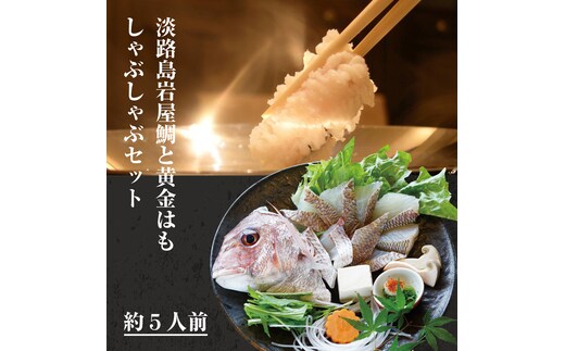 天然淡路島岩屋鯛と黄金はもしゃぶしゃぶセット(約5人前)【お届け日指定返礼品】 真鯛 鱧 食べ比べ 冷蔵
