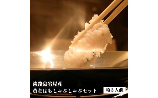 淡路島岩屋産黄金はもしゃぶしゃぶセット(約3人前) 【お届け日指定返礼品】 冷蔵 鱧 国産