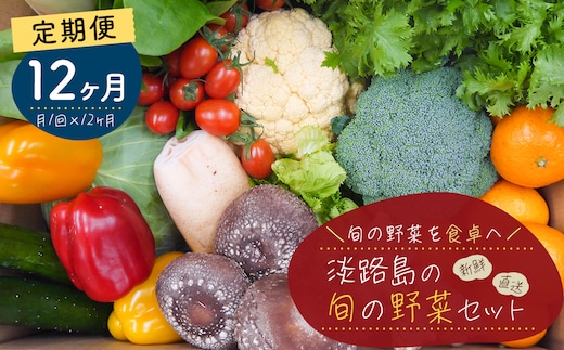 【定期便】淡路島の旬の野菜セット １年コース（月１回×１２回） [野菜セット]