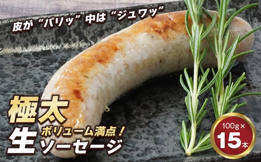 生ポークソーセージ 100g×15本入り [冷凍食品 豚肉 特大]