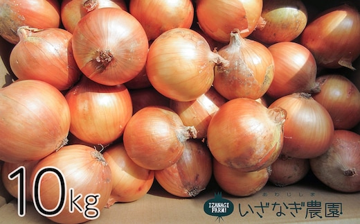 いざなぎ農園の淡路島たまねぎ 10kg [玉ねぎ 玉葱]
