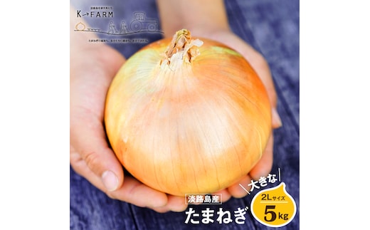 淡路島玉ねぎ 大きな2Lサイズ 5kg 玉ねぎ