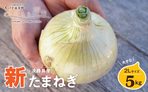 【新たまねぎ】淡路島たまねぎ 大きな2Lサイズ 5kg【発送時期：2026年3月下旬～5月頃】 [玉ねぎ 産地直送 玉ねぎ]
