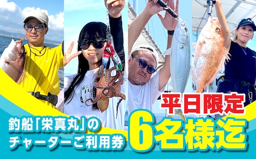 釣船「栄真丸」の平日チャーターご利用券（6名様迄） [釣り 淡路島 漁船 魚釣り 乗船券]