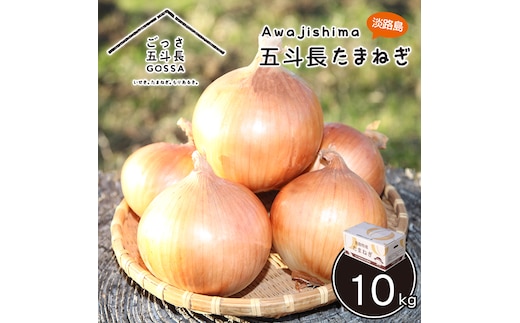 五斗長玉ねぎ 5kg 玉ねぎ