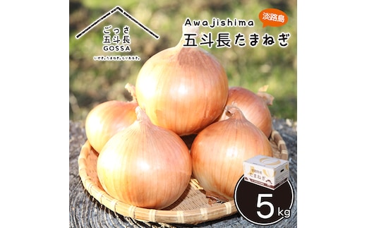 五斗長玉ねぎ 10kg 玉ねぎ