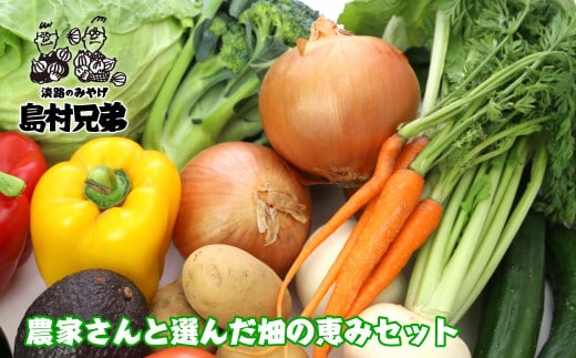 農家さんと選んだ畑の恵みセット [野菜セット 野菜詰め合わせ]