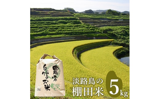 淡路島の棚田米 ５kg 白米