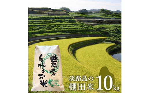 淡路島の棚田米 １０kg 白米