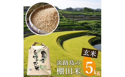 《玄米》淡路島の棚田米 ５kg