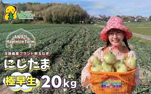 淡路島産ブランド新玉ねぎ 極早生 「にじたま」 20kgダンボール入り【発送時期2026年2月中旬～4月頃】