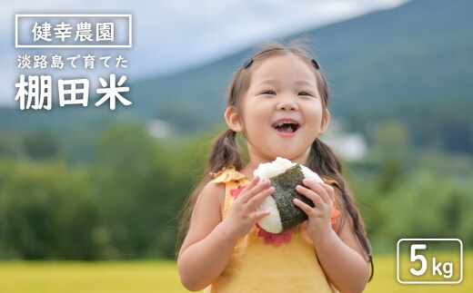 健幸農園の棚田米 5kg 【2025年産新米】 精米 白米 農家直送