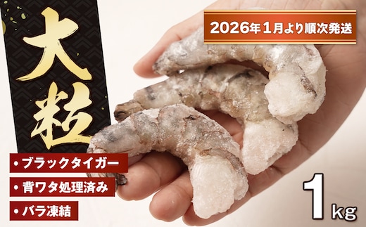 至福の大粒むきえび 背ワタ処理済 1kg【2026年1月より順次発送】 ブラックタイガー 冷凍 ムキエビ 大型 海老