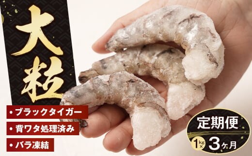 【定期便3ヶ月】至福の大粒 むきえび 背ワタ処理済 1kg ブラックタイガー 冷凍 ムキエビ 大型 海老