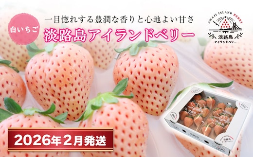 淡路島アイランドベリー 白苺淡雪【2026年2月発送予約受付・お届け日指定不可】 [いちご]