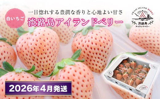 淡路島アイランドベリー 白苺淡雪【2026年4月発送予約受付・お届け日指定不可】 [いちご]