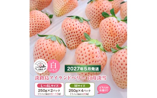 淡路島アイランドベリー 白苺淡雪 2～4パック入【2027年5月発送予約受付・お届け日指定不可】 苺