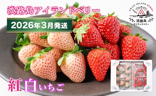 淡路島アイランドベリー 紅白いちご 淡雪/とちおとめ【2026年3月発送予約受付・お届け日指定不可】 [いちご]