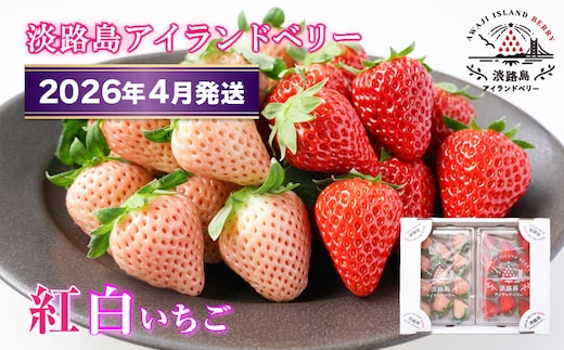 淡路島アイランドベリー 紅白いちご 淡雪/とちおとめ【2026年4月発送予約受付・お届け日指定不可】 [いちご]