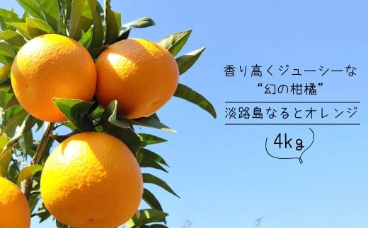 淡路島なるとオレンジ 4kg 【発送時期2026年3月～4月頃】