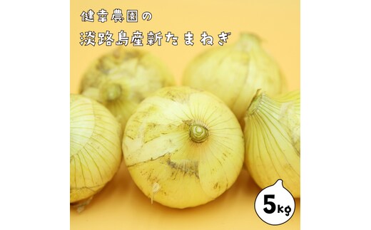 淡路島産新玉ねぎ 5kg 玉ねぎ