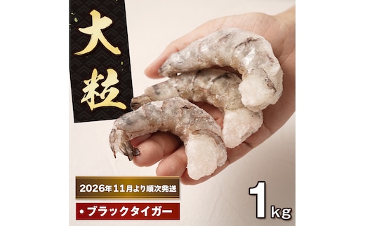 至福の大粒 むきえび 背ワタ処理済 1kg【2026年11月より順次発送】 えび
