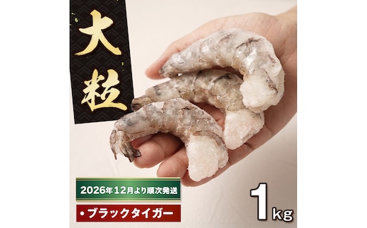 至福の大粒むきえび 背ワタ処理済 1kg【2026年12月より順次発送】 ブラックタイガー 冷凍 ムキエビ 大型 海老