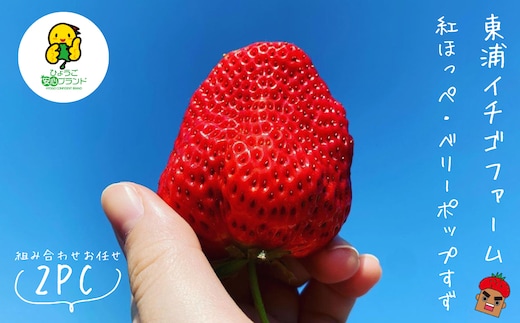淡路島産いちごセット（紅ほっぺ / ベリーポップすず）【12月中旬～1月発送・お届け日指定不可】