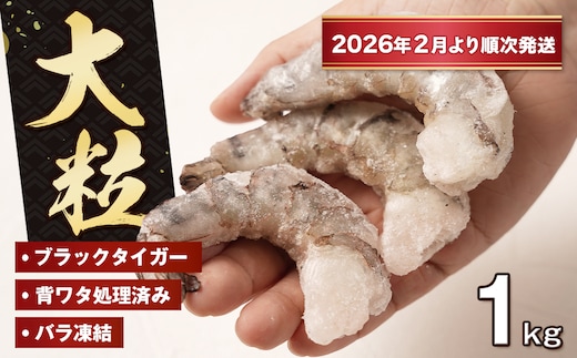 至福の大粒むきえび 背ワタ処理済 1kg【2026年2月より順次発送】 ブラックタイガー 冷凍 ムキエビ 大型 海老