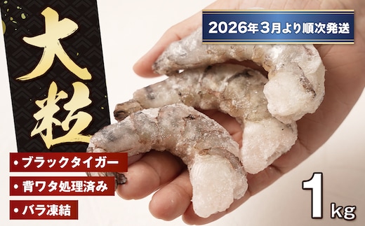 至福の大粒むきえび 背ワタ処理済 1kg【2026年3月より順次発送】 ブラックタイガー 冷凍 ムキエビ 大型 海老