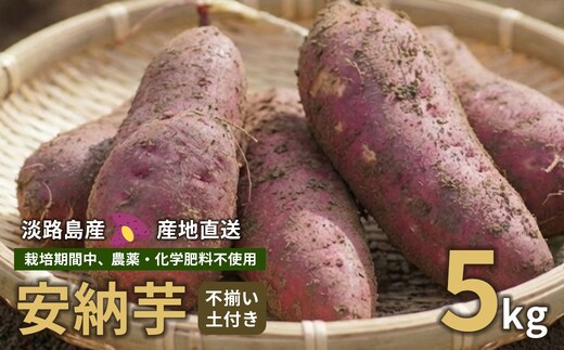 【産地直送】安納芋（淡路島産）土付き 約5kg 不揃い【栽培期間中、農薬・化学肥料不使用】さつまいも