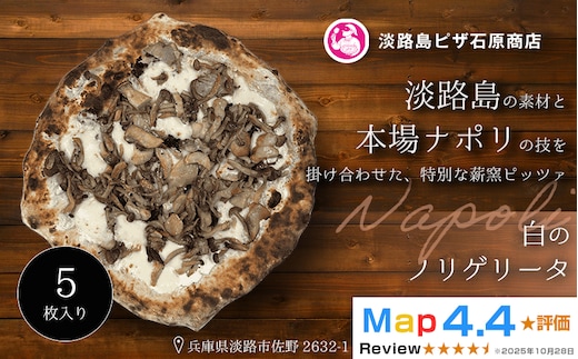 白のノリゲリータ 5枚入り