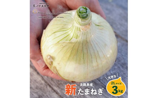 【新玉ねぎ】淡路島たまねぎ 大きな2Lサイズ 3kg【発送時期：2026年3月下旬～5月頃】 玉ねぎ 産地直送