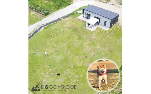 淡路島で愛犬と泊まれる宿＜DOGGYWOOD＞で使える宿泊ご優待券10,000円分