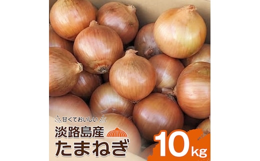 淡路島産たまねぎ10kg 玉ねぎ