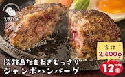淡路島たまねぎどっさりジャンボハンバーグ 200g×12個　　ジューシー 合挽  人気 ハンバーグ